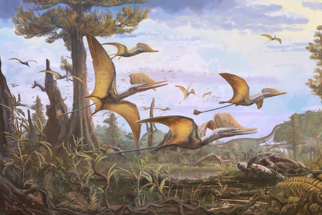 <p>An illustartion of pterosaurs</p>
