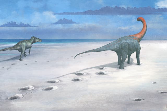 <p>An artist reconstruction of how the Megalosaurus and Cetiosaurus may have created the footprints. (Mark Witton/PA)</p>