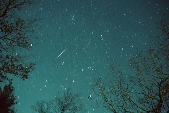 <p>Leonid meteor captured in northern sky
</p>