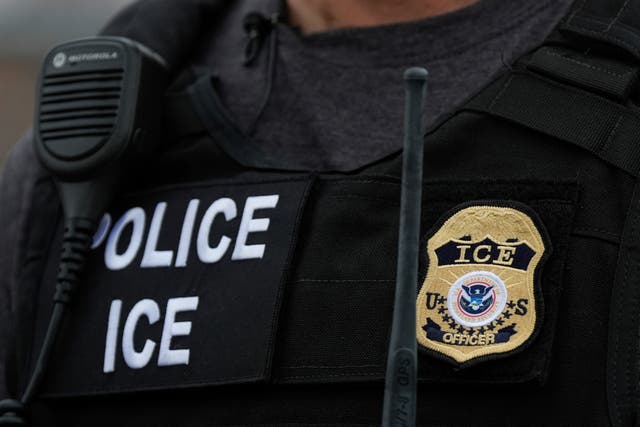 <p>The Trump administration reportedly wants to extend immigration enforcement powers to Department of Justice agents, including those in the ATF and DEA </p>