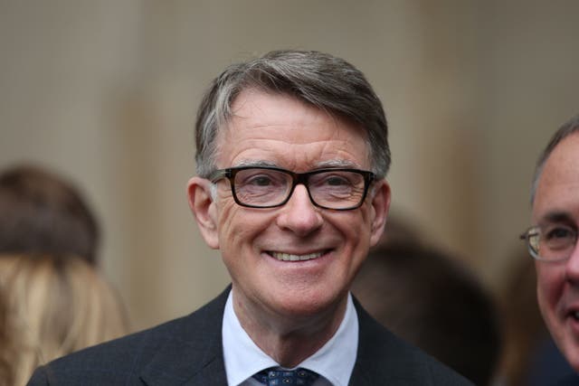 <p>Lord Mandelson has proven to be a controversial choice for UK ambassador to the US </p>