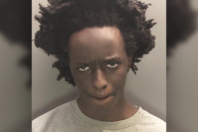 <p>Axel Rudakubana, 18, pleaded guilty to murdering Bebe King, Elsie Dot Stancombe and Alice da Silva Aguiar, in a knife attack at a Taylor Swift-themed dance class </p>