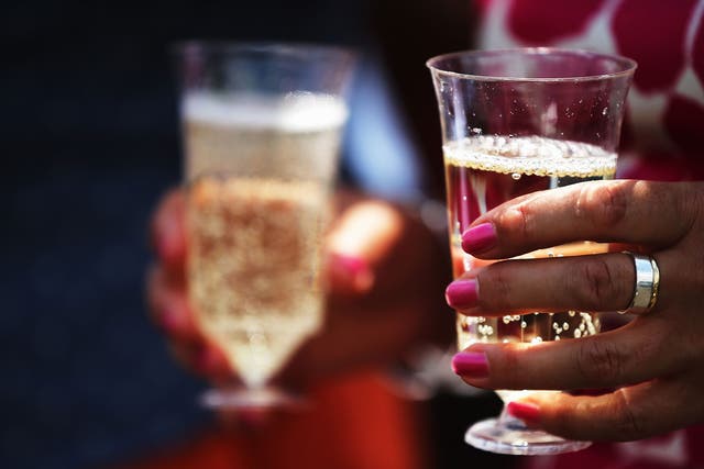 <p>Report author says a great deal less is known about ‘what drives alcohol drinking behaviour in females because most studies of alcohol use have been done in males’ </p>