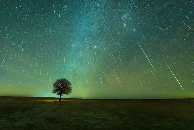 <p>The Geminid meteor shower will peak on Friday 13 December, 2024</p>