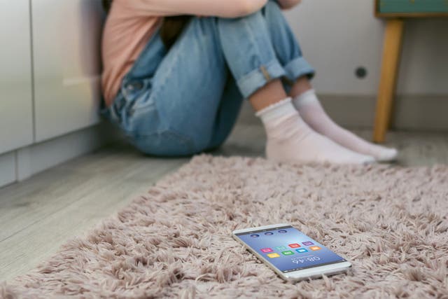 <p>Experts found image-based abuse and online solicitation were the most prevalent types of abuse, affecting an average of one in eight children </p>