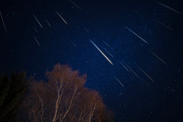 <p>The Leonid meteor shower comes from debris from the comet Tempel-Tuttle passing through the Earth’s atmosphere</p>