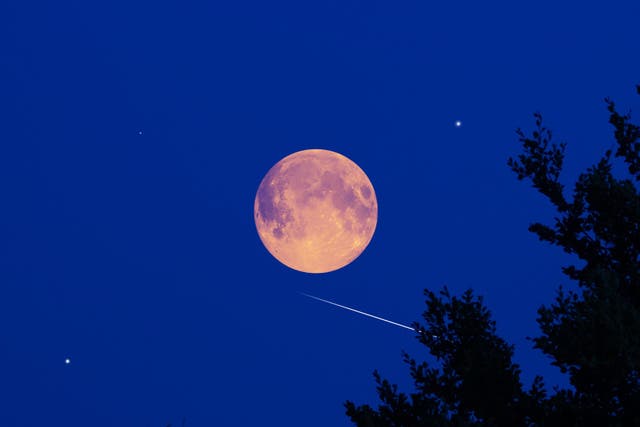 <p>The cold moon - a once in 19-year phenomenon - will rise overnight. File photo of full moon </p>