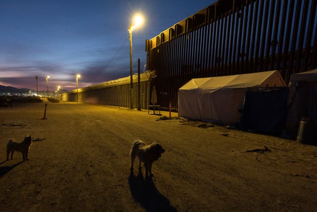 <p>Mexico US Deportation Preparation</p>