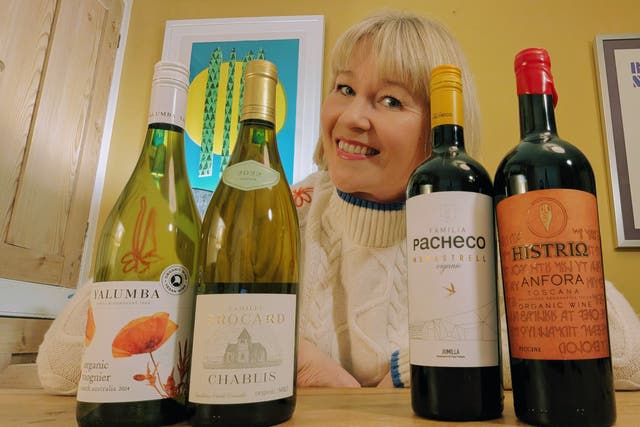 <p>Rosamund Hall has selected the best organic wines of the moment</p>