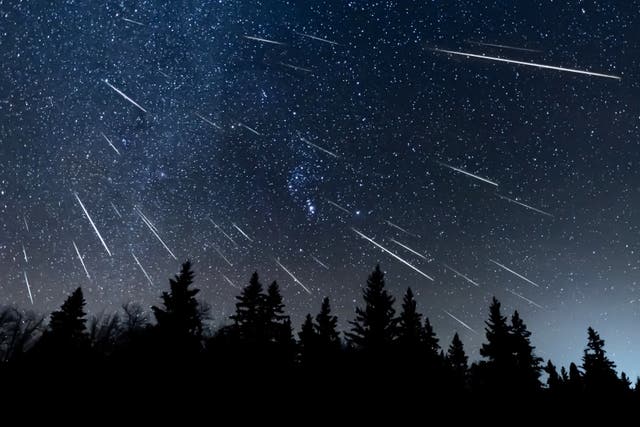 <p>The 2025 Quadrantid meteor shower will peak on 3 January in the northern hemisphere</p>