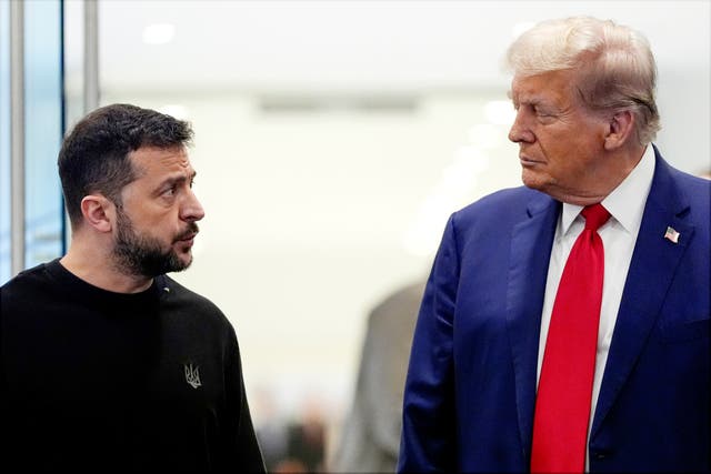 <p>Trump says Ukraine should have surrendered to Russia and blames Zelensky for war</p>