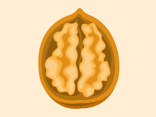 Best Brain Foods To Eat Before A Test