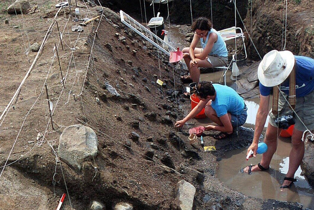 <p>The excavation team hard at work at Gesher Benot Ya’akov</p>
