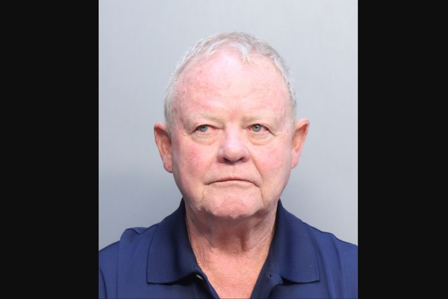 <p>James Ross Wightman, 65, was charged with six counts of illegal voting and classed as an ‘illegal alien’ from the United Kingdom under new Trump deportation laws</p>