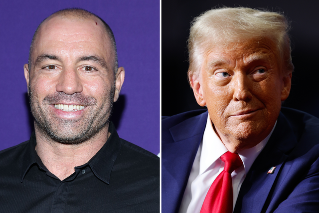 <p>Joe Rogan and Donald Trump</p>