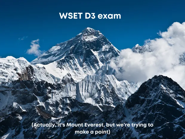 How to Pass the WSET Diploma D3 Exam on the Wines of the World