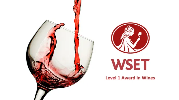 How to Study for the WSET Level 1 Exam More Efficiently